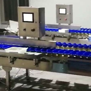 海參分頭機自動分選機