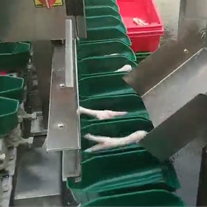 雞爪重量分揀機
